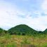  Land for sale in Mueang Kanchanaburi, Kanchanaburi, Wang Dong, Mueang Kanchanaburi