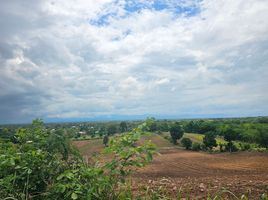  Grundstück zu verkaufen in Mueang Phetchabun, Phetchabun, Huai Yai, Mueang Phetchabun, Phetchabun