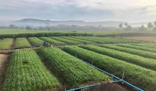 ขายที่ดิน N/A ใน คลองม่วง, นครราชสีมา 