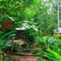  Land for sale in Iquitos, Loreto, Iquitos, Maynas, Loreto