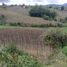  Land for sale in Marinilla, Antioquia, Marinilla