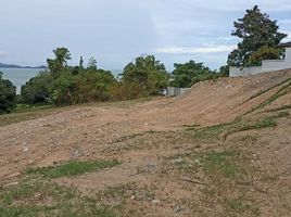  Land for sale in Surat Thani, Bo Phut, Koh Samui, Surat Thani