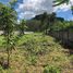  Land for sale in Phuket, Si Sunthon, Thalang, Phuket