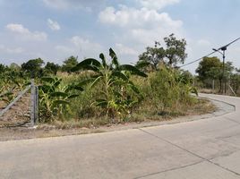  Land for sale in Bang Luang, Mueang Pathum Thani, Bang Luang