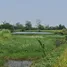  Grundstück zu verkaufen in Huai Sak, Chiang Rai, Huai Sak, Mueang Chiang Rai, Chiang Rai, Thailand