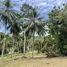  Land for sale in Phang Ka Beach, Taling Ngam, Taling Ngam