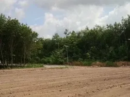  Grundstück zu verkaufen in Ban Khai, Rayong, Nong Lalok, Ban Khai