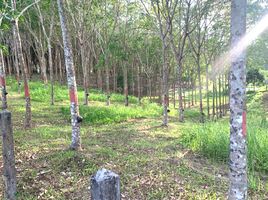  Land for sale in Laguna Beach, Choeng Thale, Choeng Thale