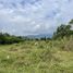  Land for sale in Huai Sai, Chiang Mai, Huai Sai, Mae Rim