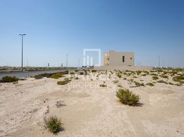  Grundstück zu verkaufen im Jebel Ali Hills, 