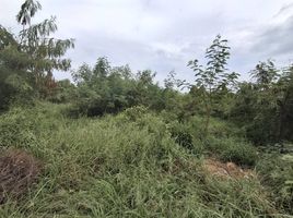  Land for sale in Hua Hin Airport, Hua Hin City, Hua Hin City