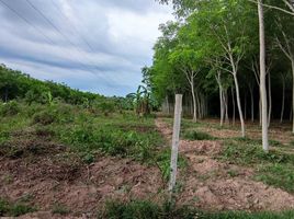  Land for sale in Phatong, Hat Yai, Phatong