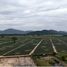  Land for sale in Hua Hin Prachuap Khiri Khan, Thap Tai