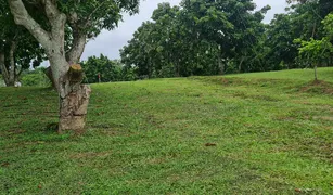N/A Grundstück zu verkaufen in Huai Sak, Chiang Rai 