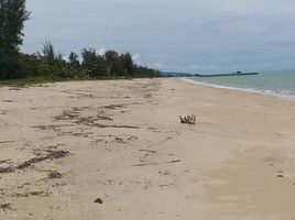  Grundstück zu verkaufen in Tha Sala, Nakhon Si Thammarat, Klai