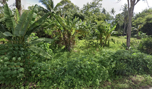 N/A Land for sale in Ao Nang, Krabi 