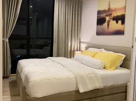 1 Bedroom Condo for rent at The Base Height, Talat Yai