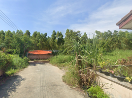  Grundstück zu verkaufen in Phanat Nikhom, Chon Buri, Ban Chang