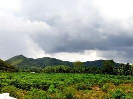  Grundstück zu verkaufen in Ban Rai, Uthai Thani, Ban Rai, Ban Rai, Uthai Thani