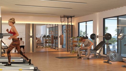 Photos 1 of the Communal Gym at Marquis Signature