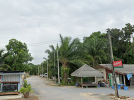 在Khanom, 洛坤出售的 土地, Khanom, Khanom