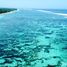  Land for sale in Sumba Barat East Nusa Tenggara, Kodi, Sumba Barat, East Nusa Tenggara