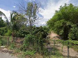  Land for sale in Mueang Lamphun, Lamphun, Mueang Chi, Mueang Lamphun