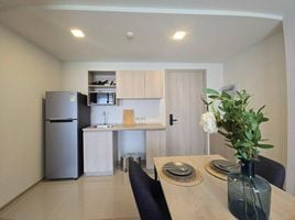 ขายคอนโด 2 ห้องนอน ในโครงการ ดีคอนโด รีฟ ภูเก็ต, กะทู้, กะทู้