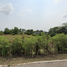  Land for sale in Khok Phra Chedi, Nakhon Chai Si, Khok Phra Chedi