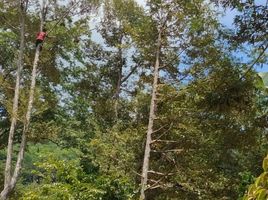  Grundstück zu verkaufen in Mueang Ranong, Ranong, Sai Daeng, Mueang Ranong, Ranong