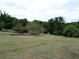  Land for sale at Jardim Nova Aparecida, Jaboticabal