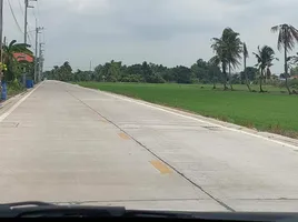 ขายที่ดิน ใน หนองเสือ ปทุมธานี, บึงบอน, หนองเสือ