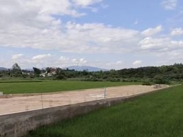  Land for sale in Thung Pi, Mae Wang, Thung Pi