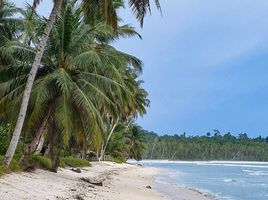  Grundstück zu verkaufen in Padang Pariaman, West Sumatera, Sipora, Padang Pariaman