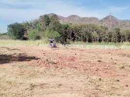  Grundstück zu verkaufen in Pak Chong, Nakhon Ratchasima, Nong Nam Daeng, Pak Chong