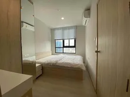 1 Bedroom Condo for rent at Nue Noble Ngamwongwan, Bang Khen