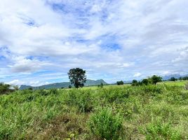  Grundstück zu verkaufen in Tha Muang, Kanchanaburi, Rang Sali