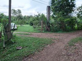  Grundstück zu verkaufen in Mae Taeng, Chiang Mai, Khi Lek, Mae Taeng, Chiang Mai