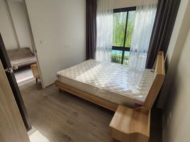 1 Schlafzimmer Wohnung zu verkaufen im Dolce Lasalle, Bang Na