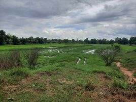  Grundstück zu verkaufen in Muang Sam Sip, Ubon Ratchathani, Muang Sam Sip, Muang Sam Sip, Ubon Ratchathani