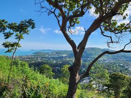  Grundstück zu verkaufen in Koh Samui, Surat Thani, Bo Phut