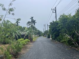  Grundstück zu verkaufen in Thalang, Phuket, Thep Krasattri, Thalang