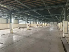  Warehouse for rent in Pathum Thani, Na Mai, Lat Lum Kaeo, Pathum Thani