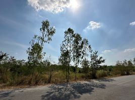  Grundstück zu verkaufen in Tha Yang, Phetchaburi, Khao Krapuk