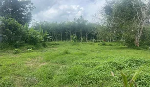 N/A Land for sale in Pa Khlok, Phuket 