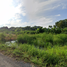  Land for sale in Khlong Song, Khlong Luang, Khlong Song