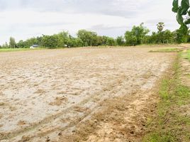 ขายที่ดิน ใน หนองฉาง อุทัยธานี, หนองฉาง, หนองฉาง, อุทัยธานี