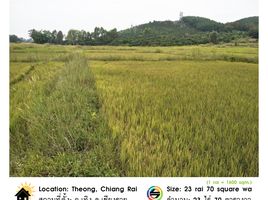  Land for sale in Chiang Rai, Ngio, Thoeng, Chiang Rai
