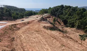 N/A Land for sale in Choeng Thale, Phuket 