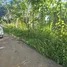  Grundstück zu verkaufen in San Felipe De Puerto Plata, Puerto Plata, San Felipe De Puerto Plata, Puerto Plata, Dominikanische Republik